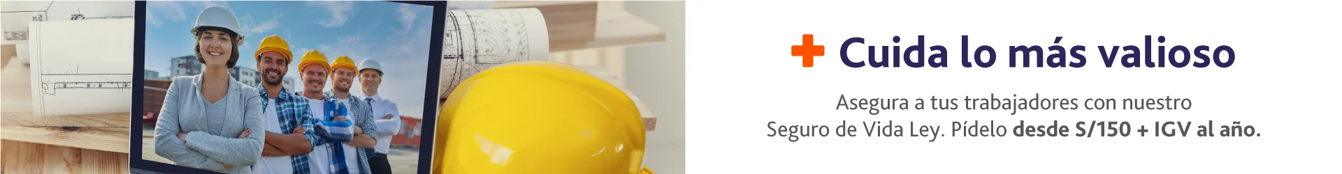 banner vidaley